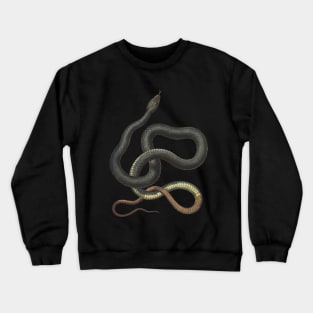 snake Crewneck Sweatshirt